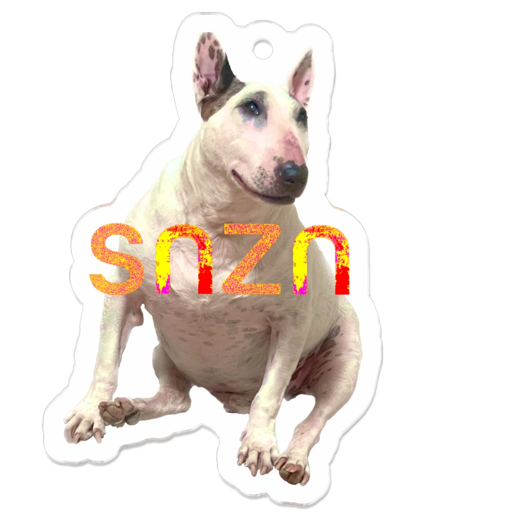 snzn_BullTerrier