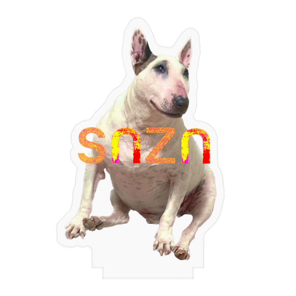 snzn_BullTerrier