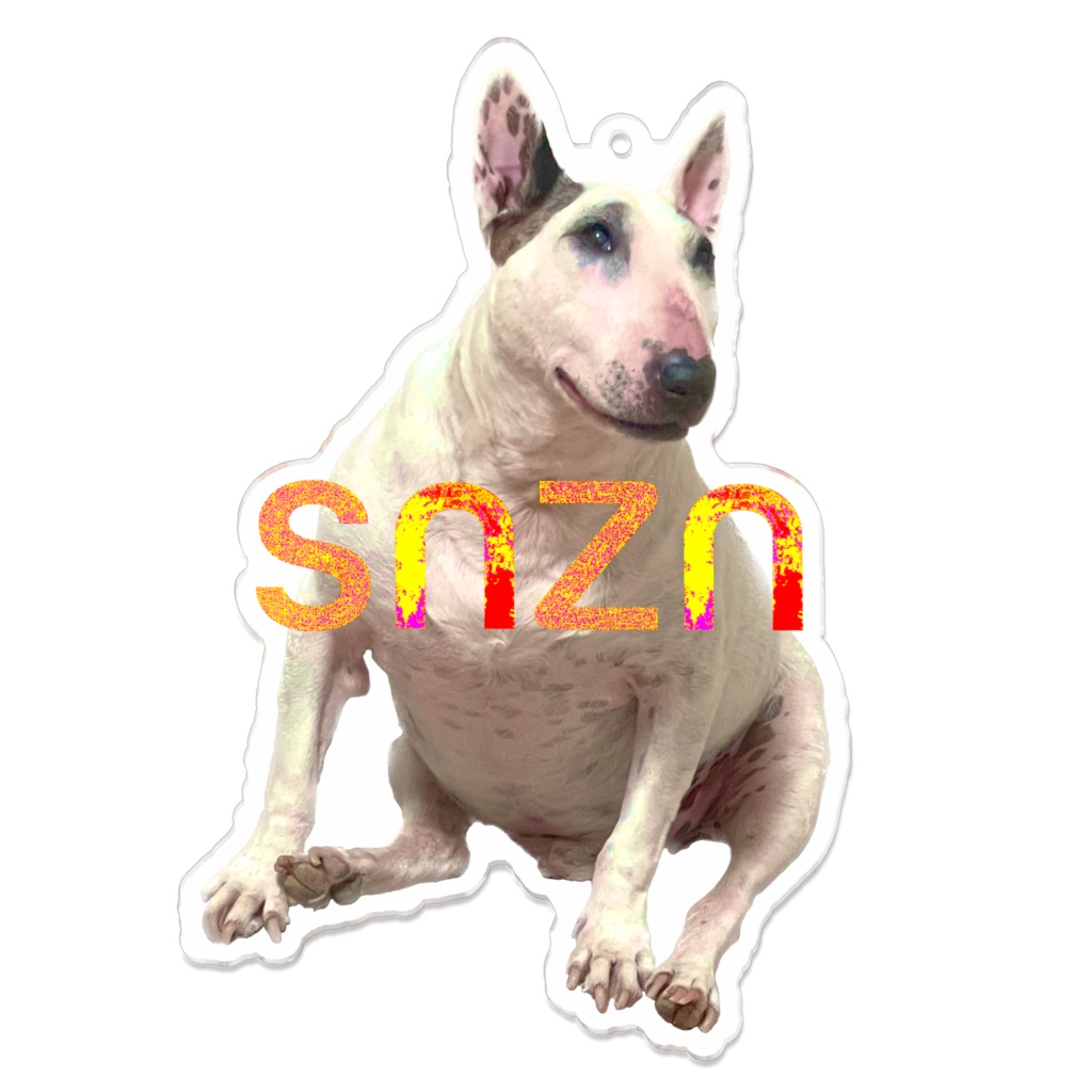 snzn_BullTerrier