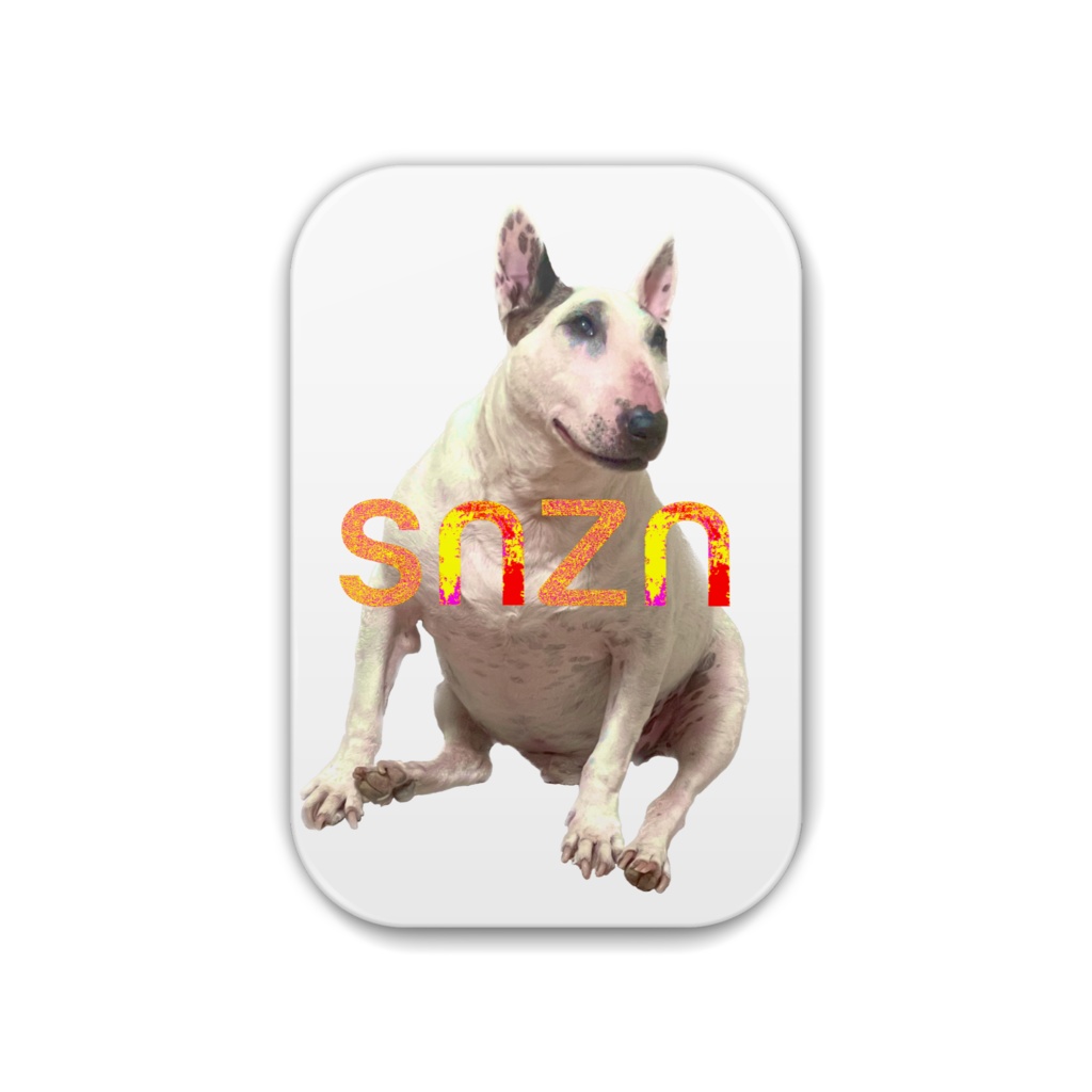 snzn_BullTerrier