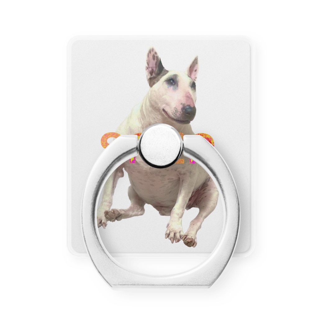 snzn_BullTerrier