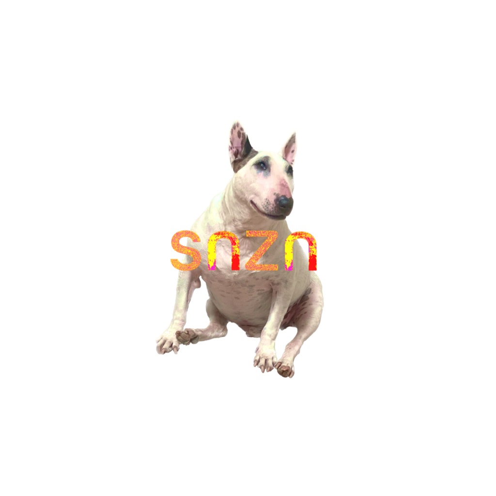 snzn_BullTerrier