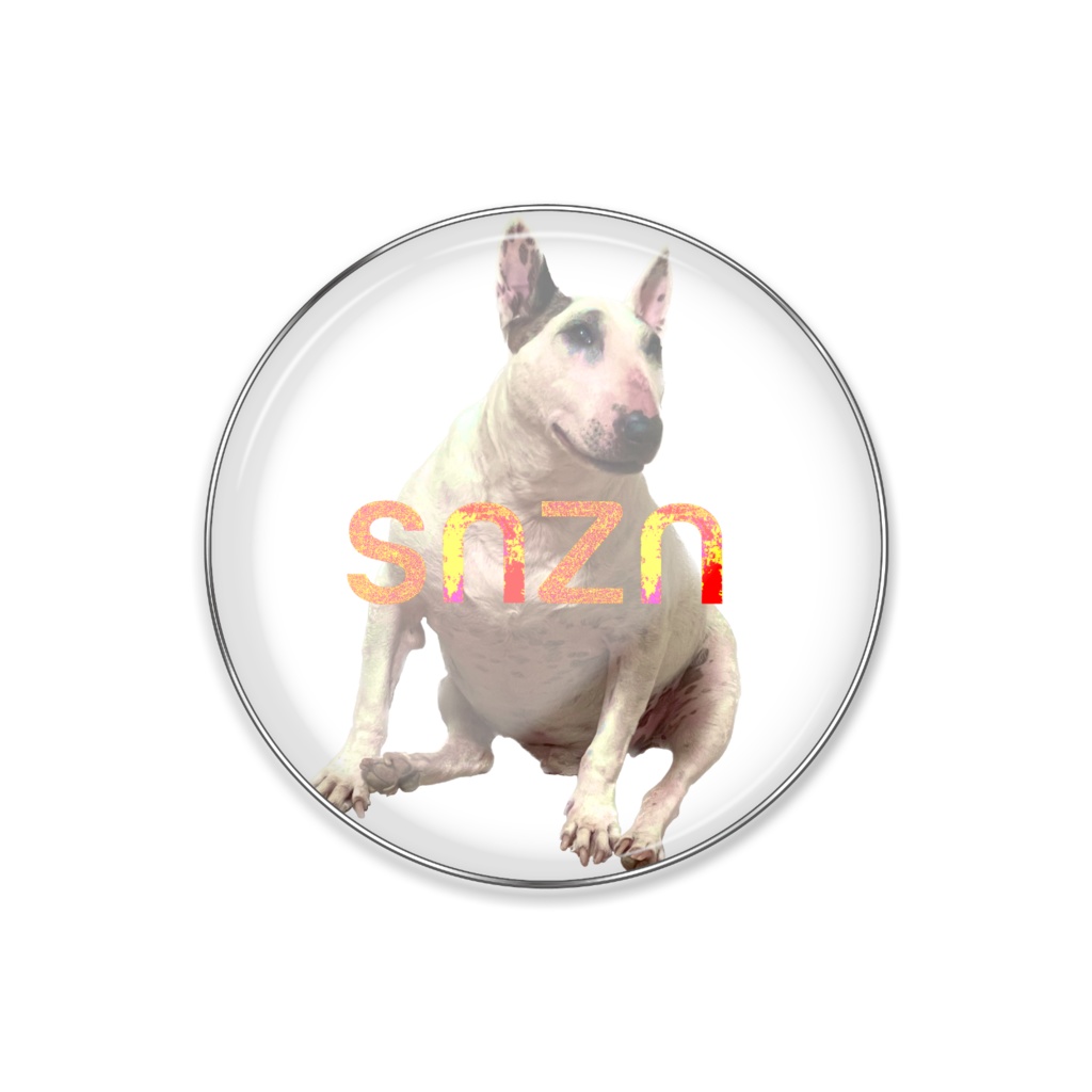 snzn_BullTerrier