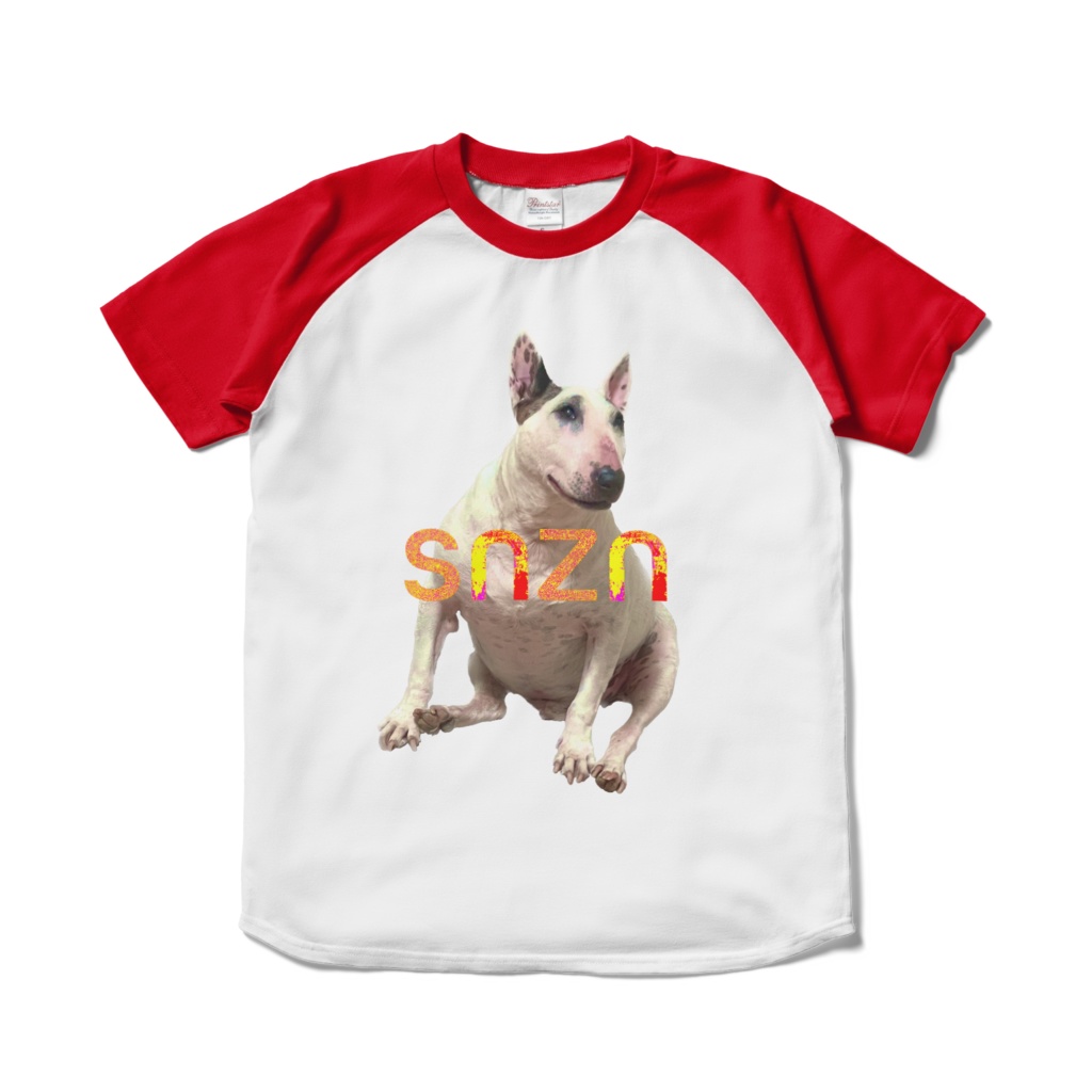 snzn_BullTerrier