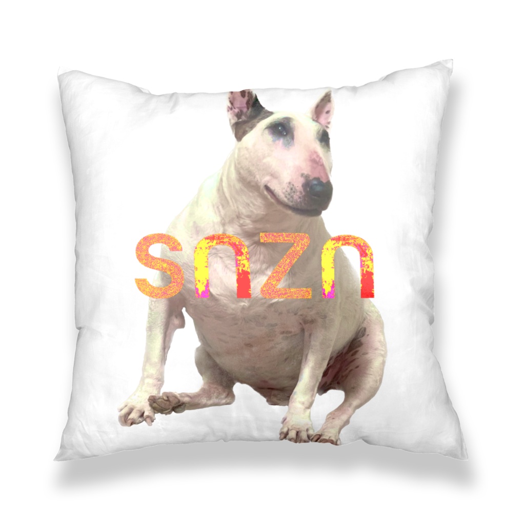 snzn_BullTerrier