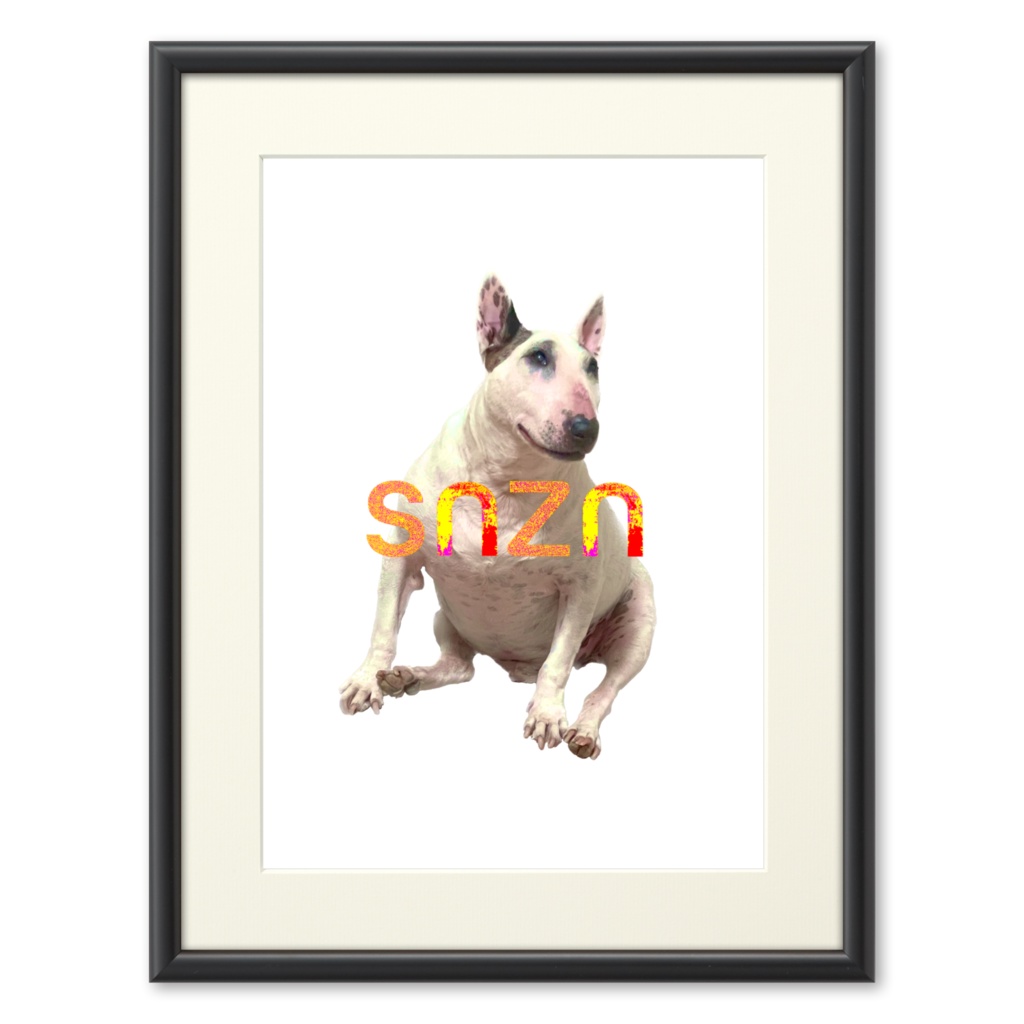 snzn_BullTerrier