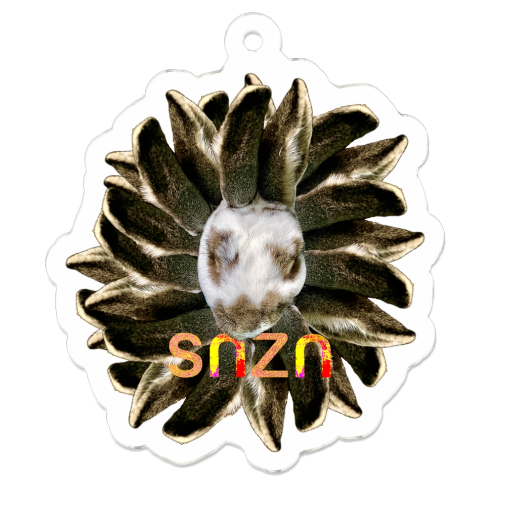 snzn_usamimi2024