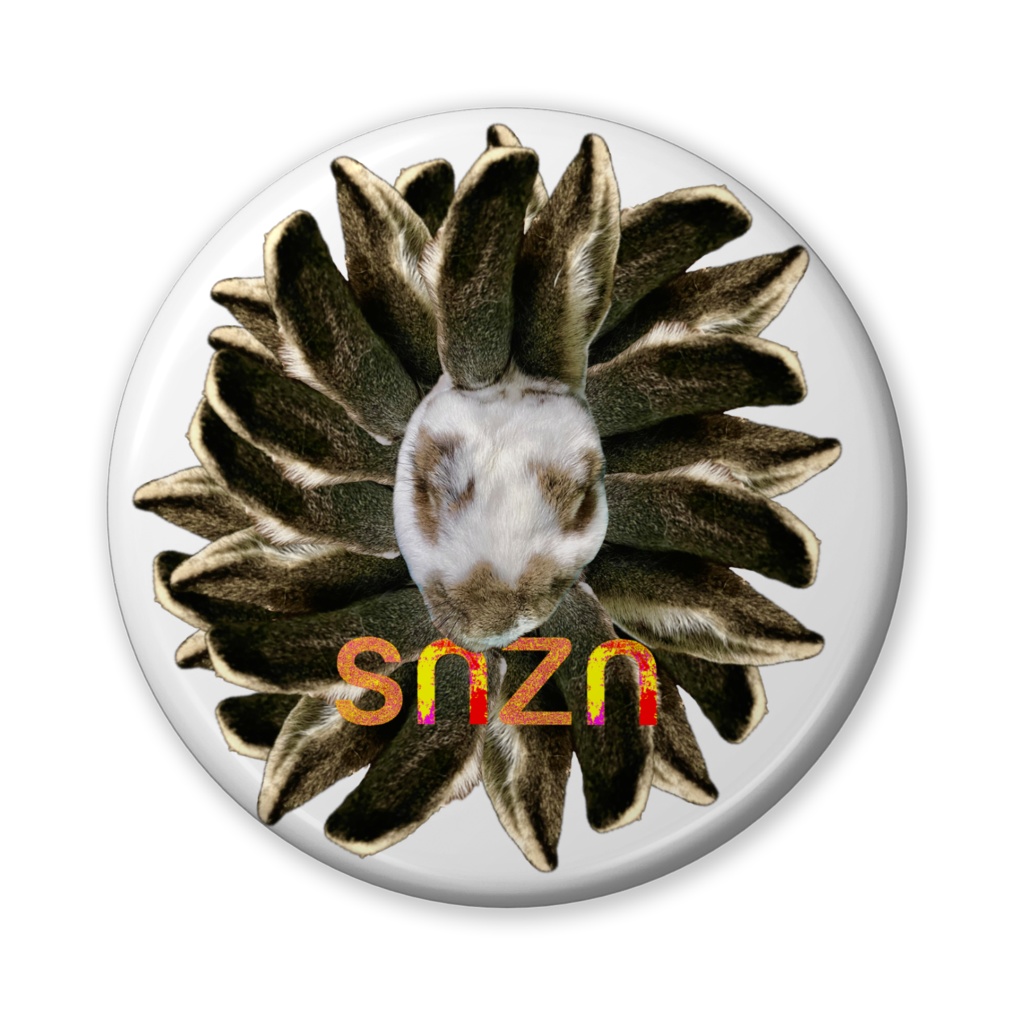 snzn_usamimi2024