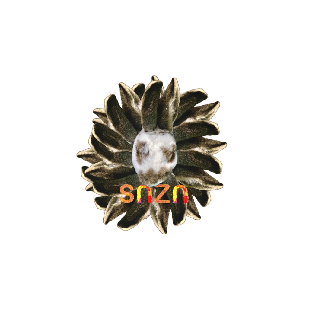 snzn_usamimi2024