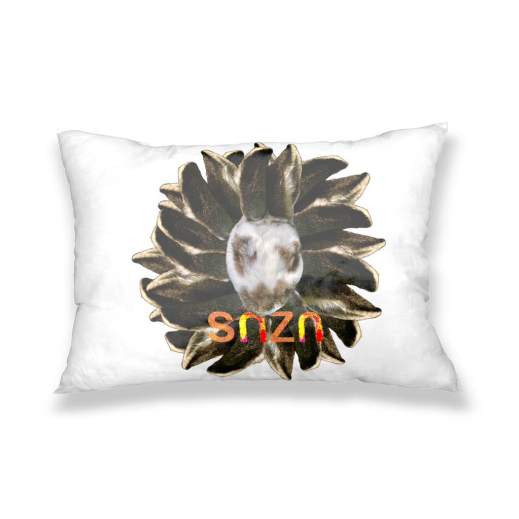 snzn_usamimi2024