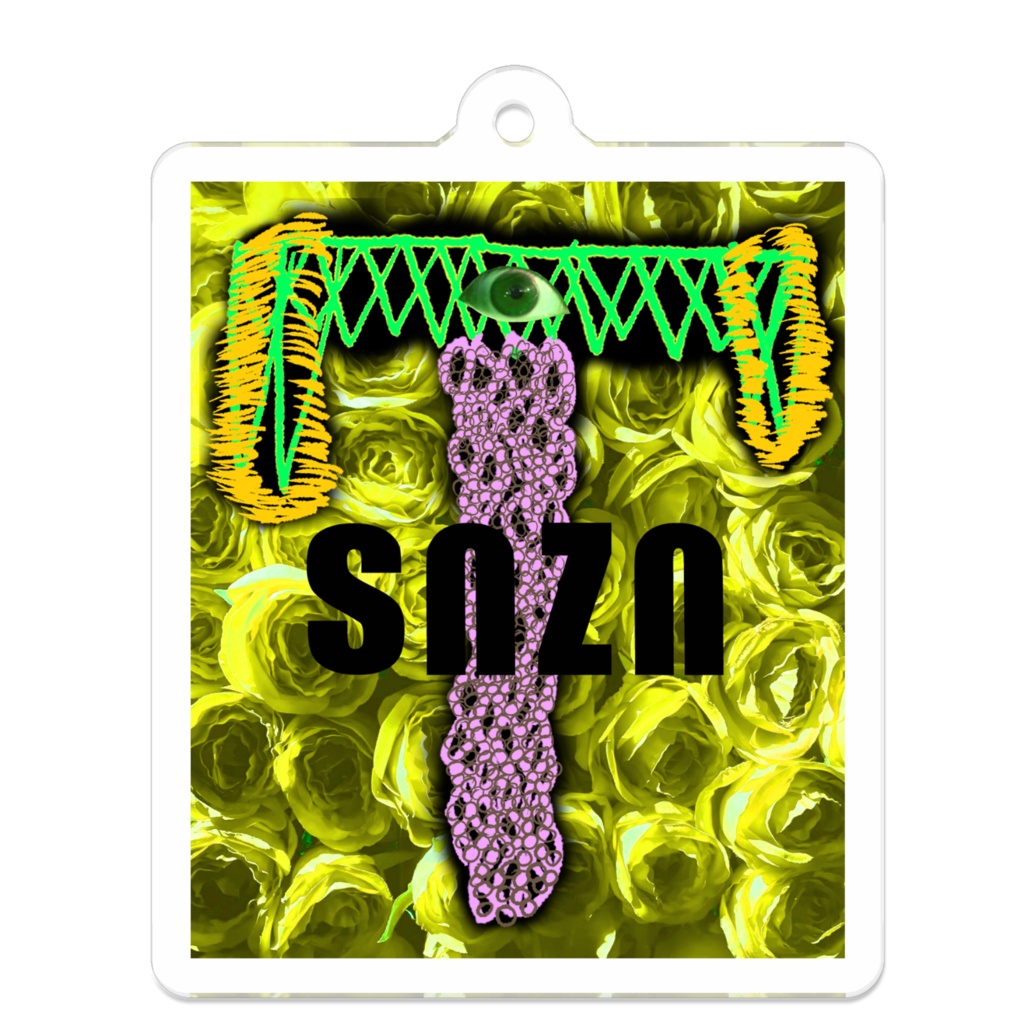 snzn_zn1_2025