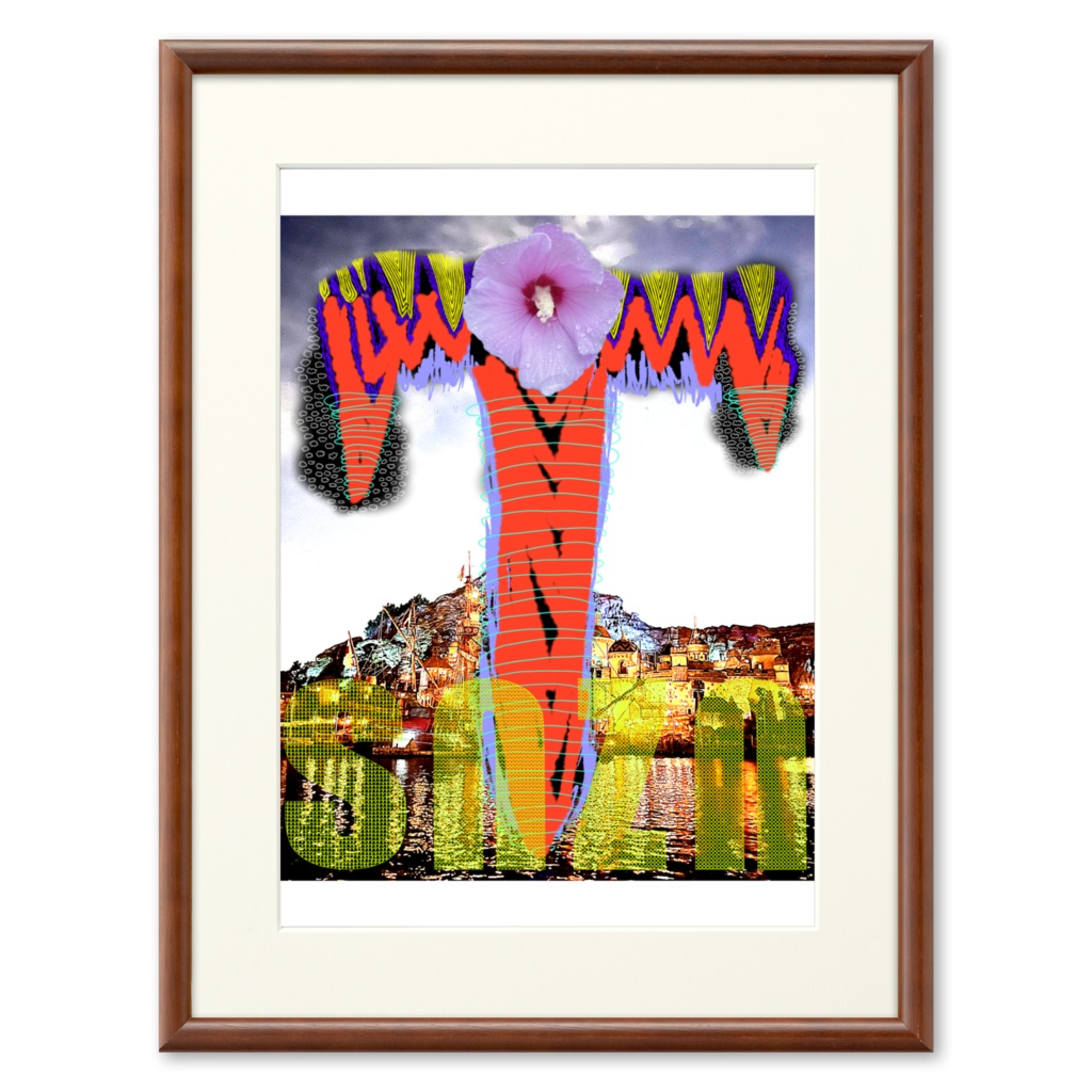snzn_zn2_2025