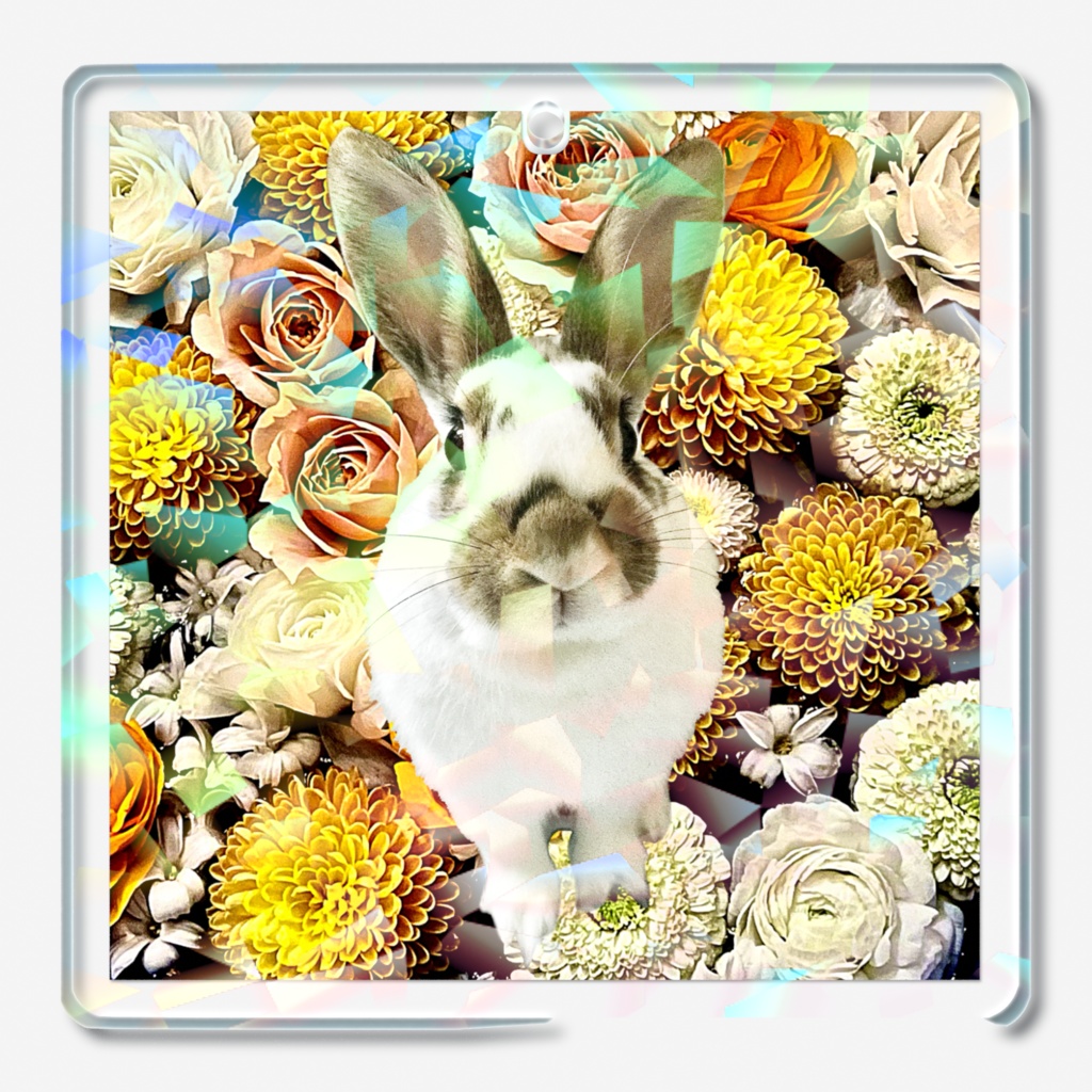 snzn_rabbit_2025