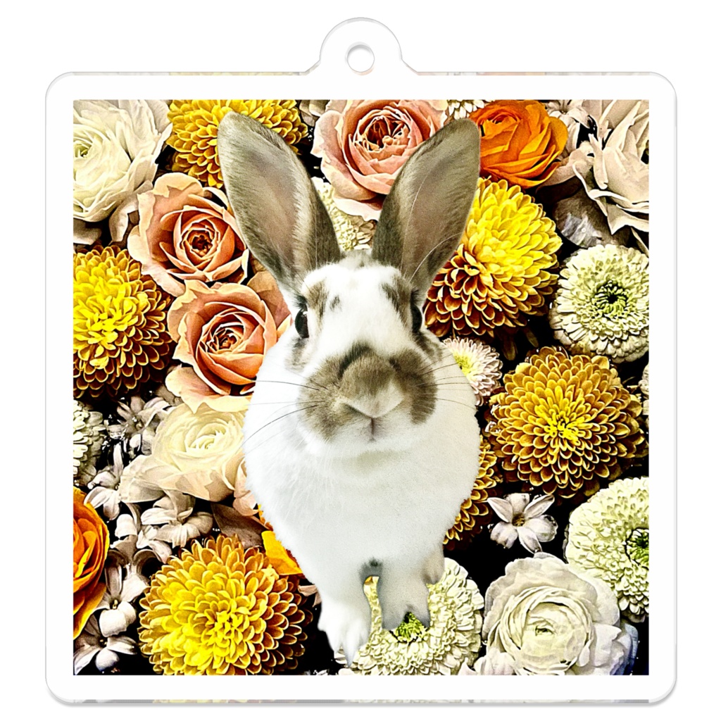 snzn_rabbit_2025
