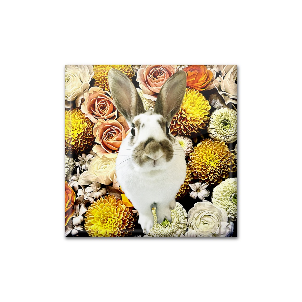 snzn_rabbit_2025