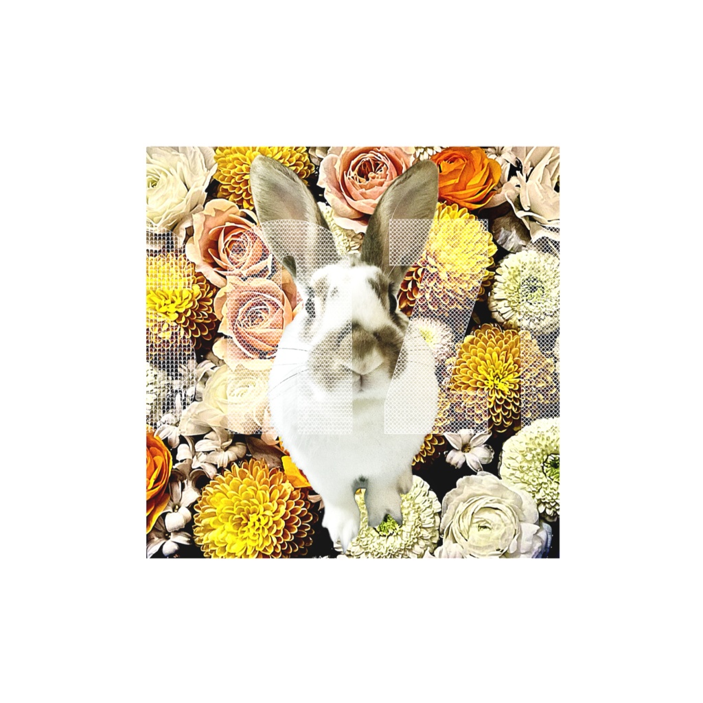 snzn_rabbit_2025