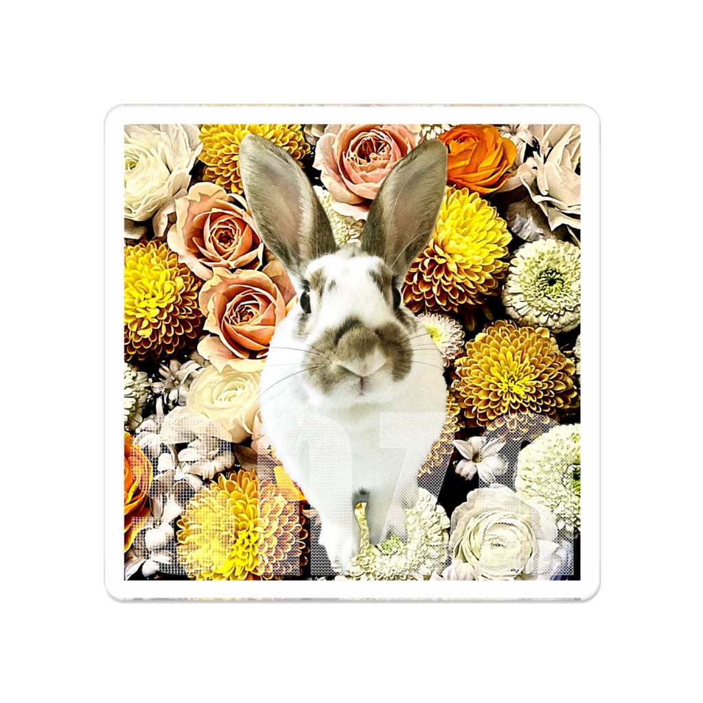 snzn_rabbit_2025
