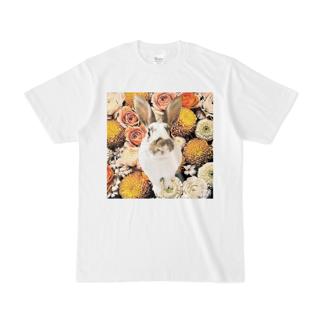 snzn_rabbit_2025