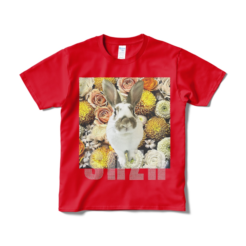 snzn_rabbit_2025