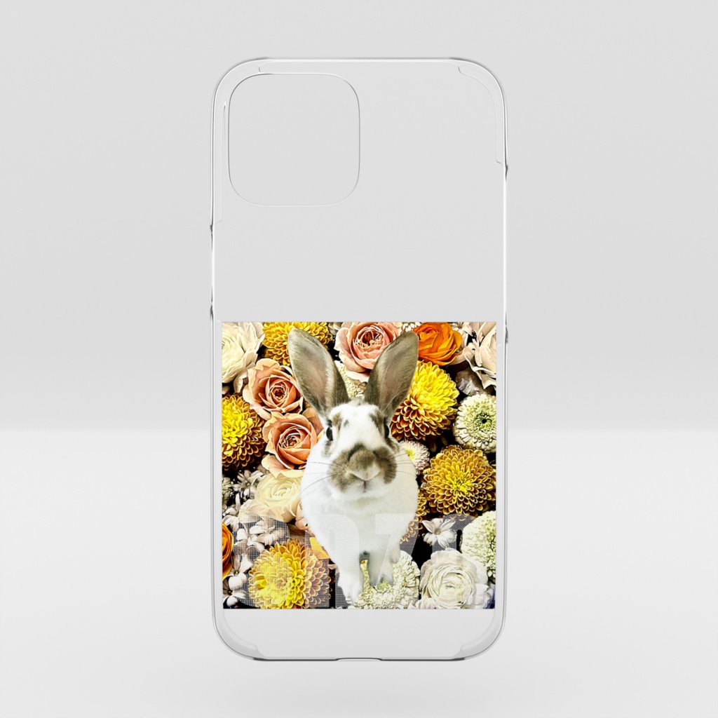 snzn_rabbit_2025