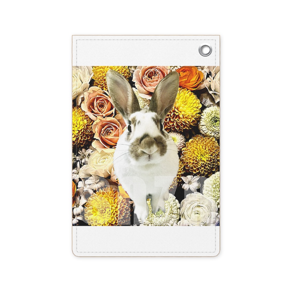 snzn_rabbit_2025