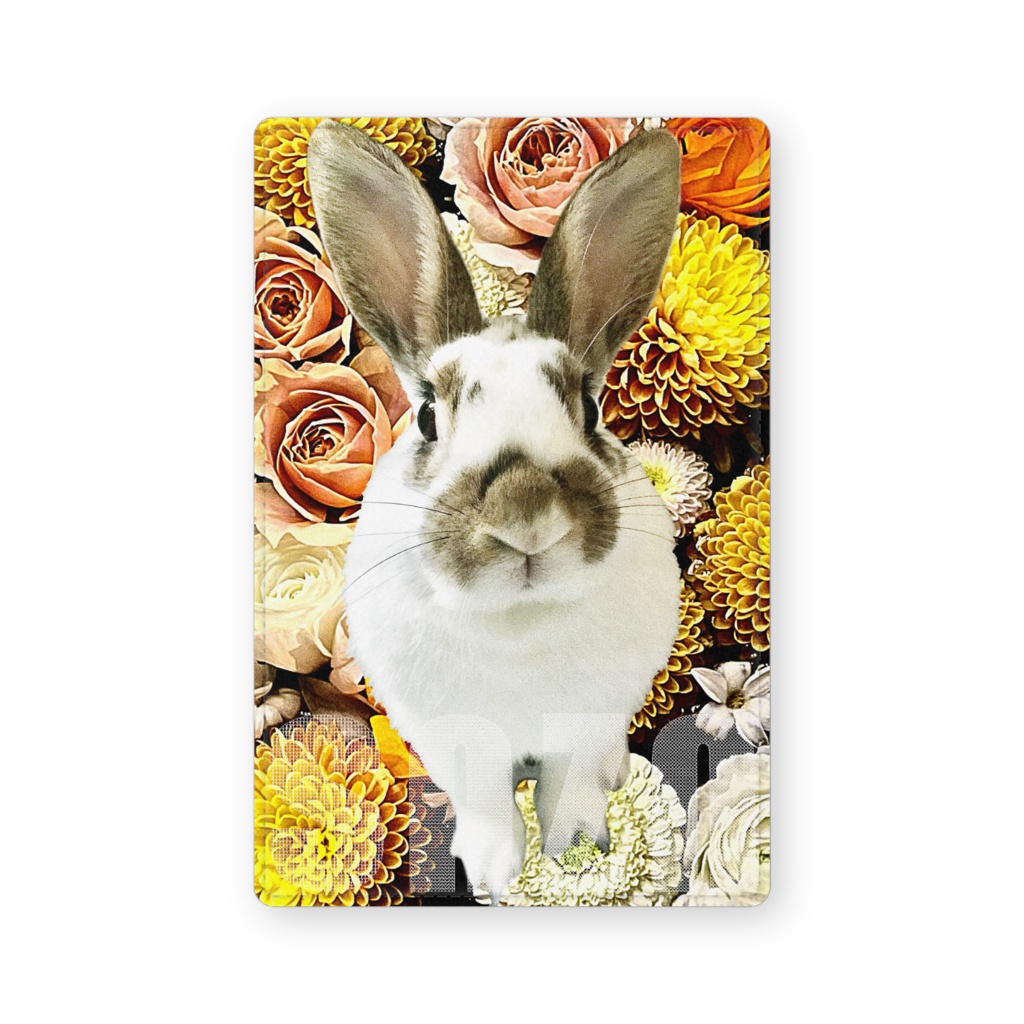 snzn_rabbit_2025