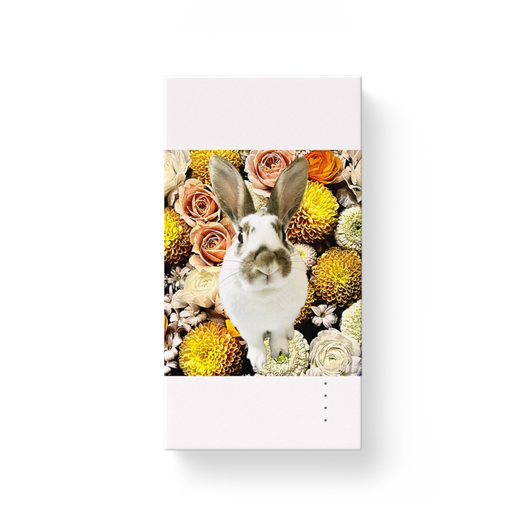 snzn_rabbit_2025
