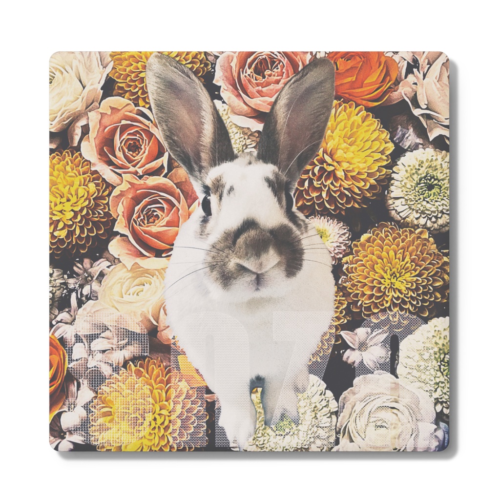 snzn_rabbit_2025