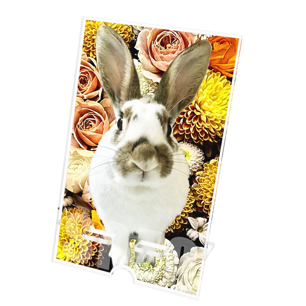 snzn_rabbit_2025