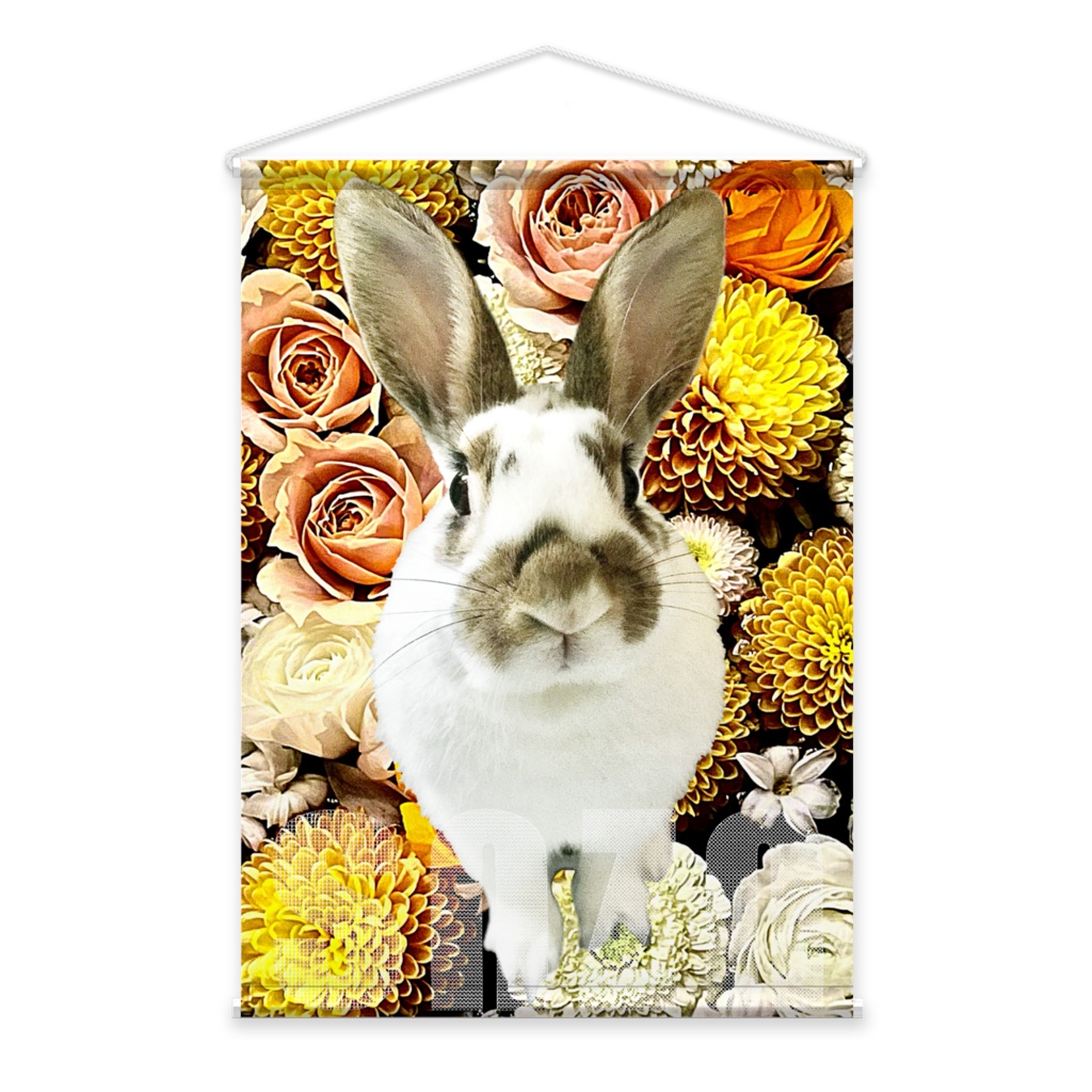 snzn_rabbit_2025