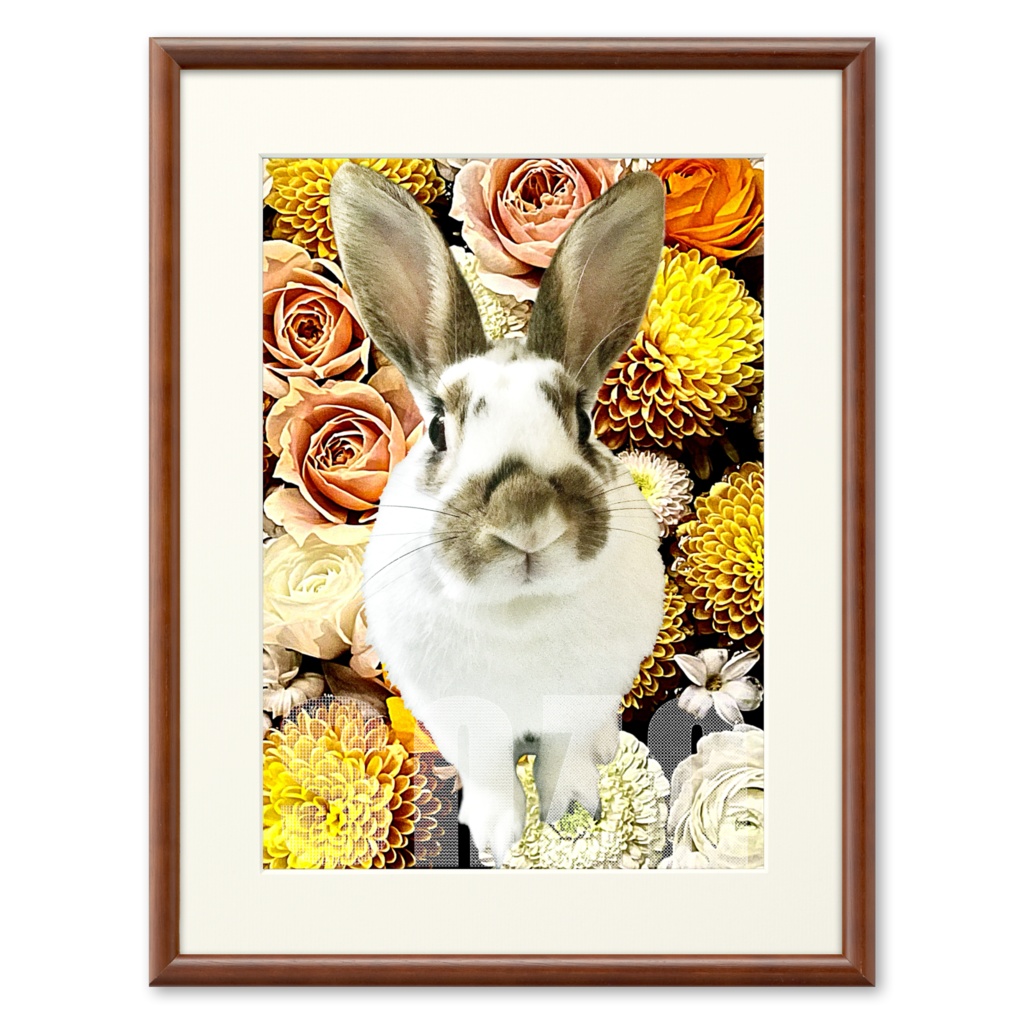 snzn_rabbit_2025