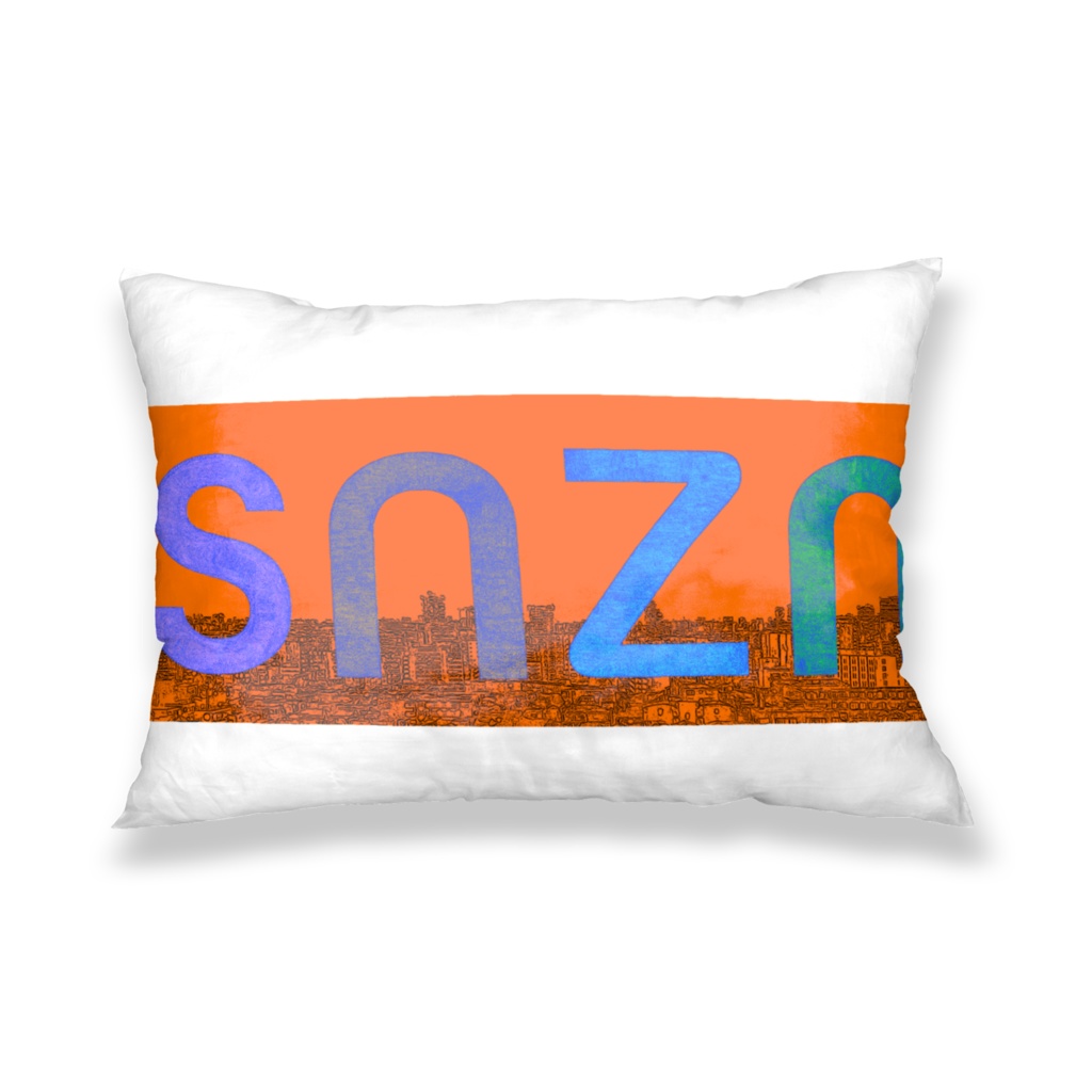 snzn_rogo_color2025