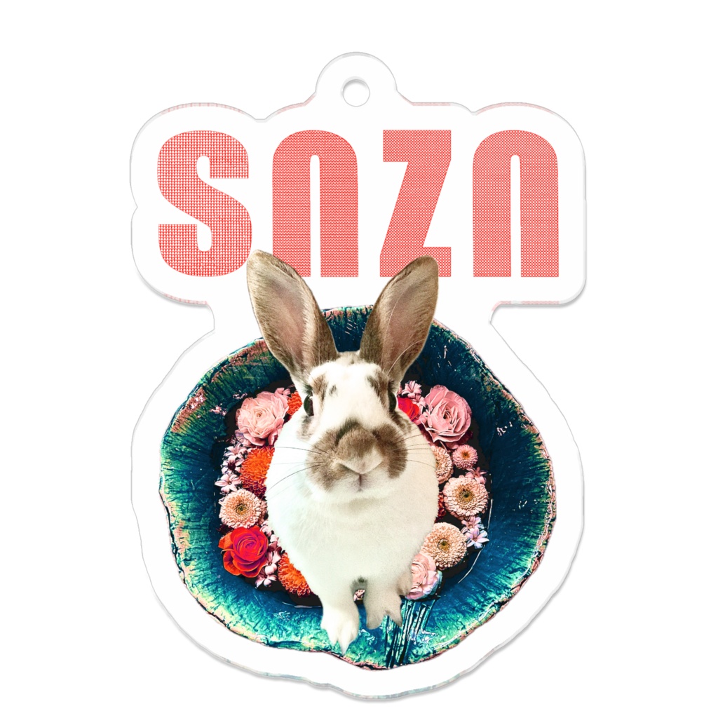 snzn-rabbit2025