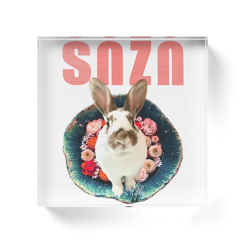 snzn-rabbit2025