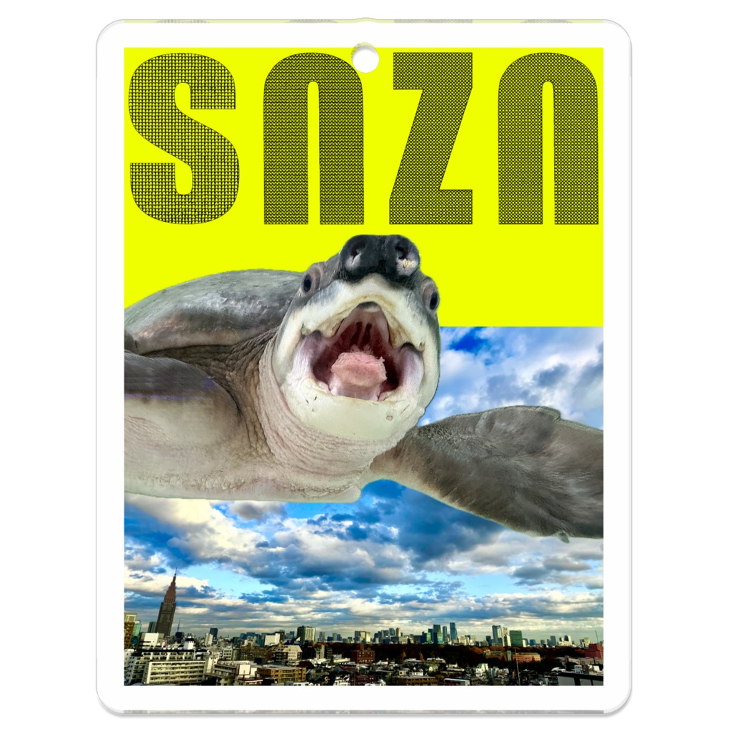 snzn-kame2026