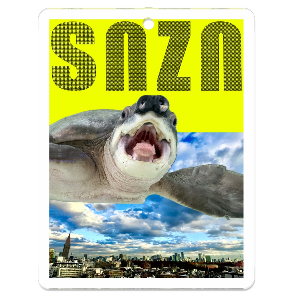 snzn-kame2026