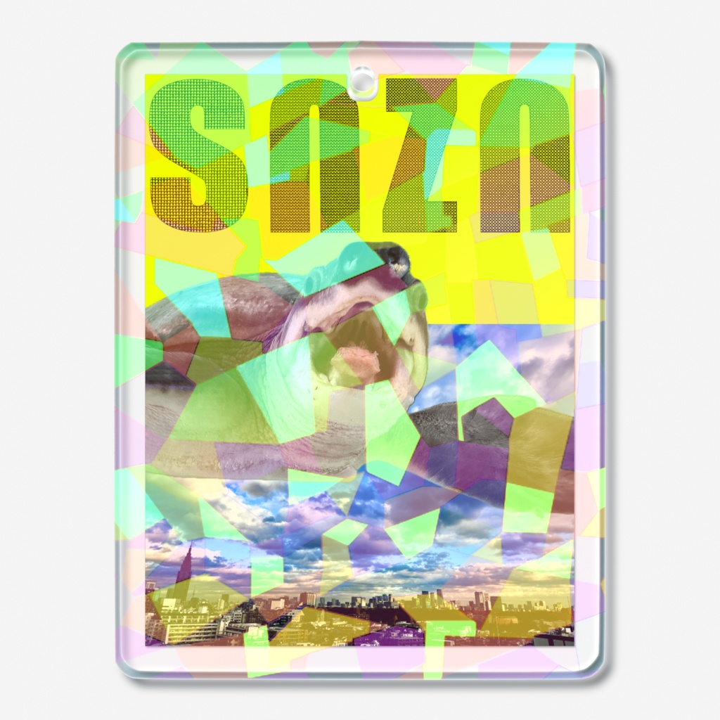 snzn-kame2026
