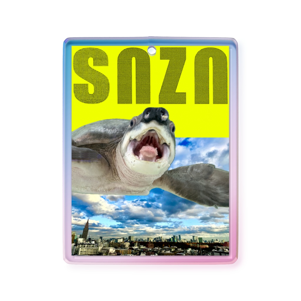 snzn-kame2026