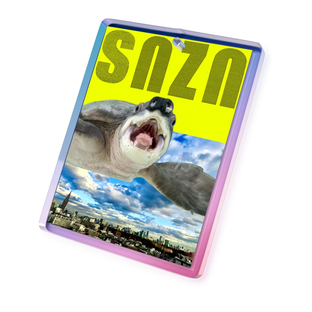 snzn-kame2026