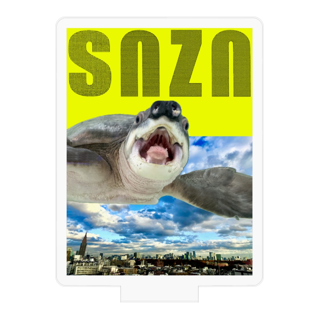 snzn-kame2026