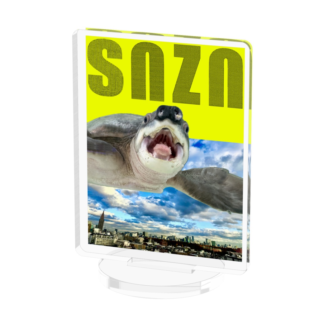 snzn-kame2026