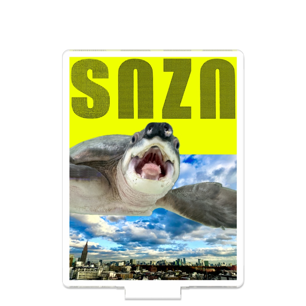 snzn-kame2026