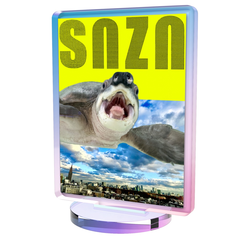 snzn-kame2026