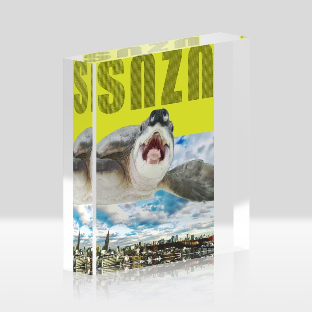 snzn-kame2026