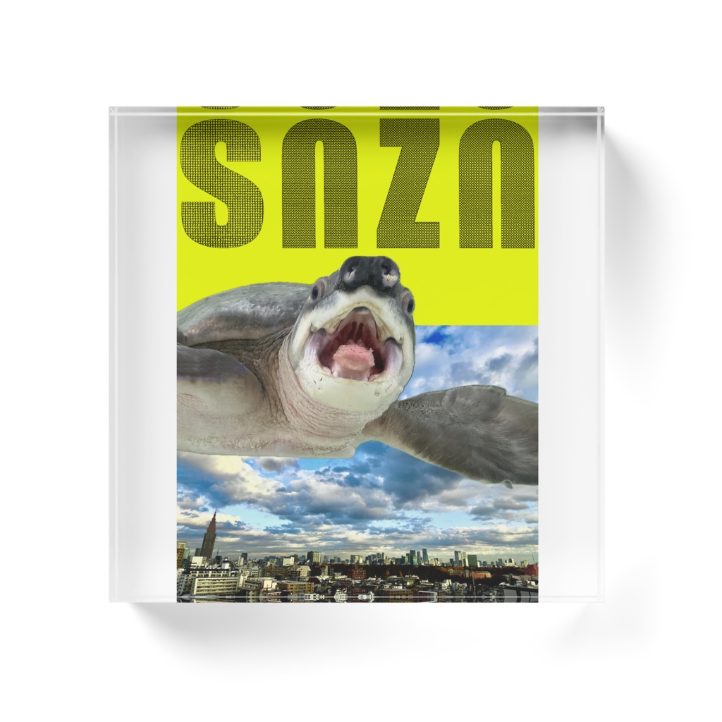 snzn-kame2026