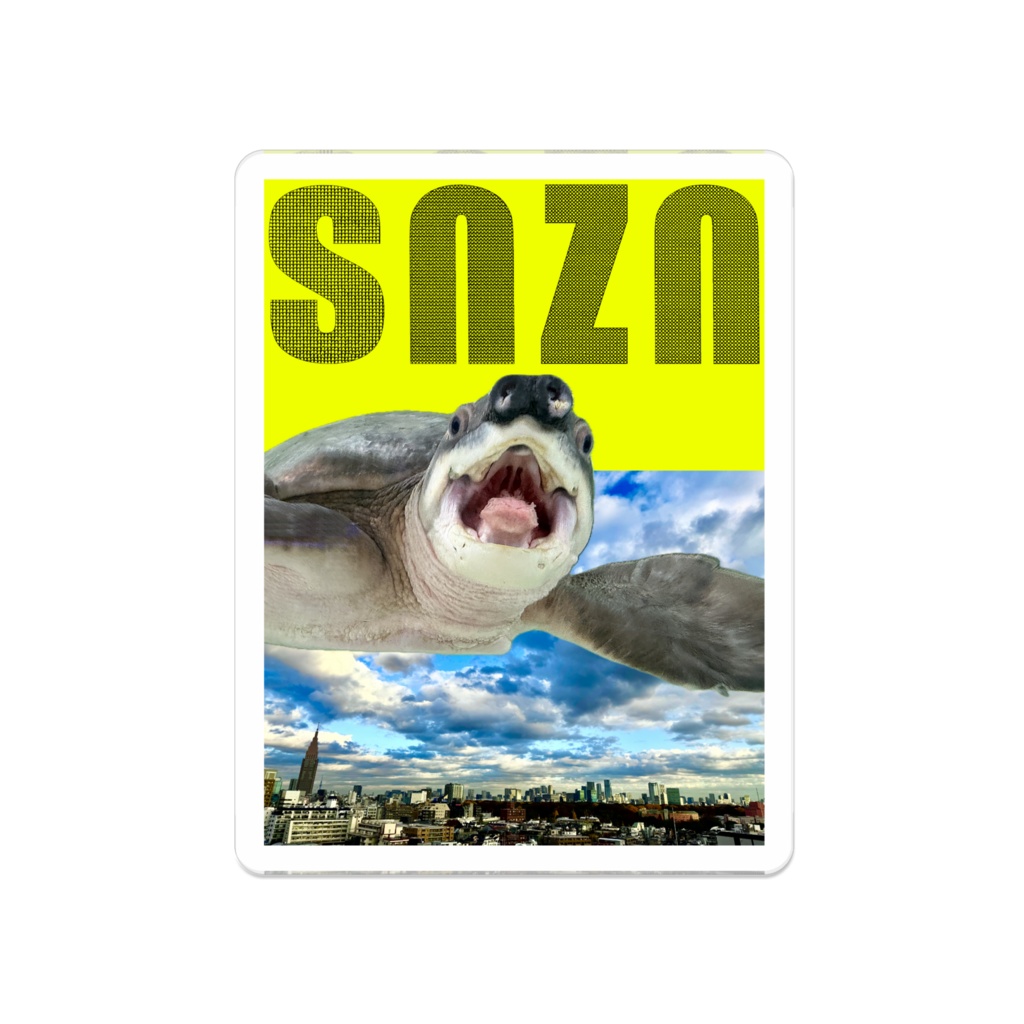 snzn-kame2026