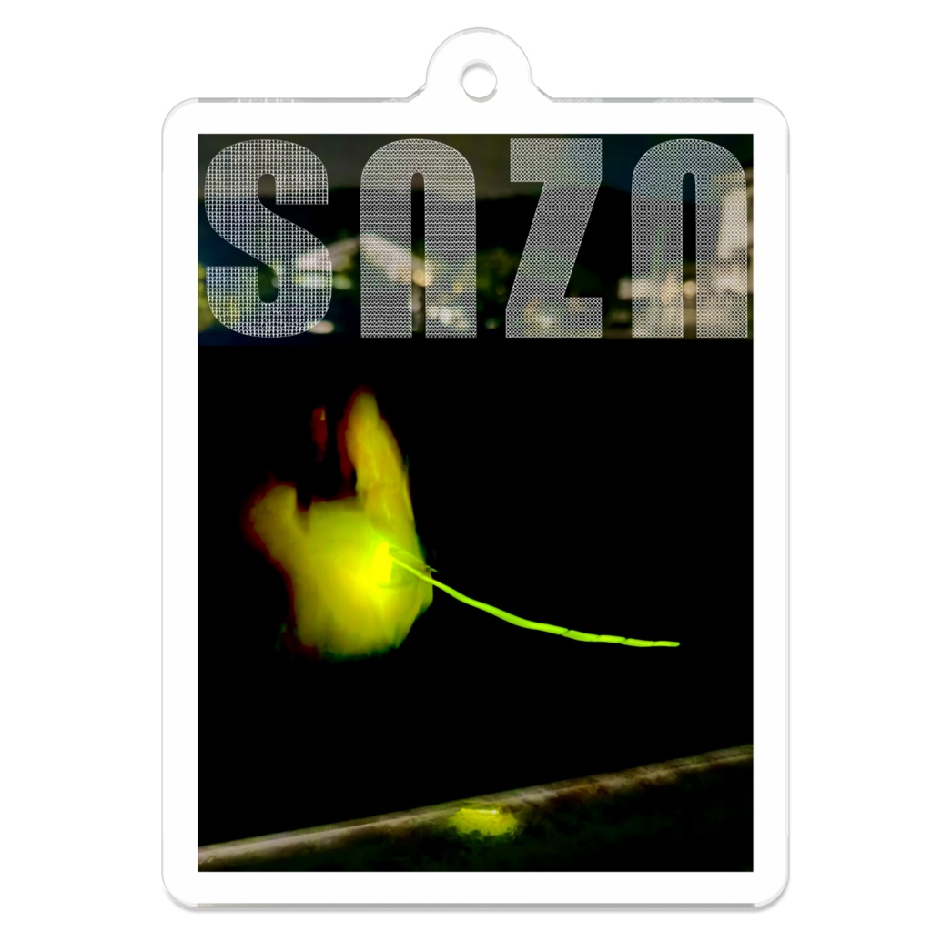 snzn-Hotaru2026