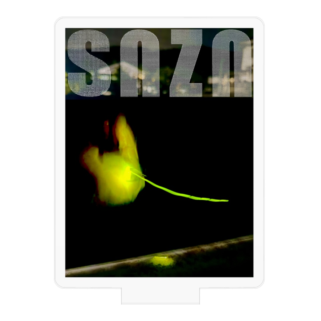 snzn-Hotaru2026