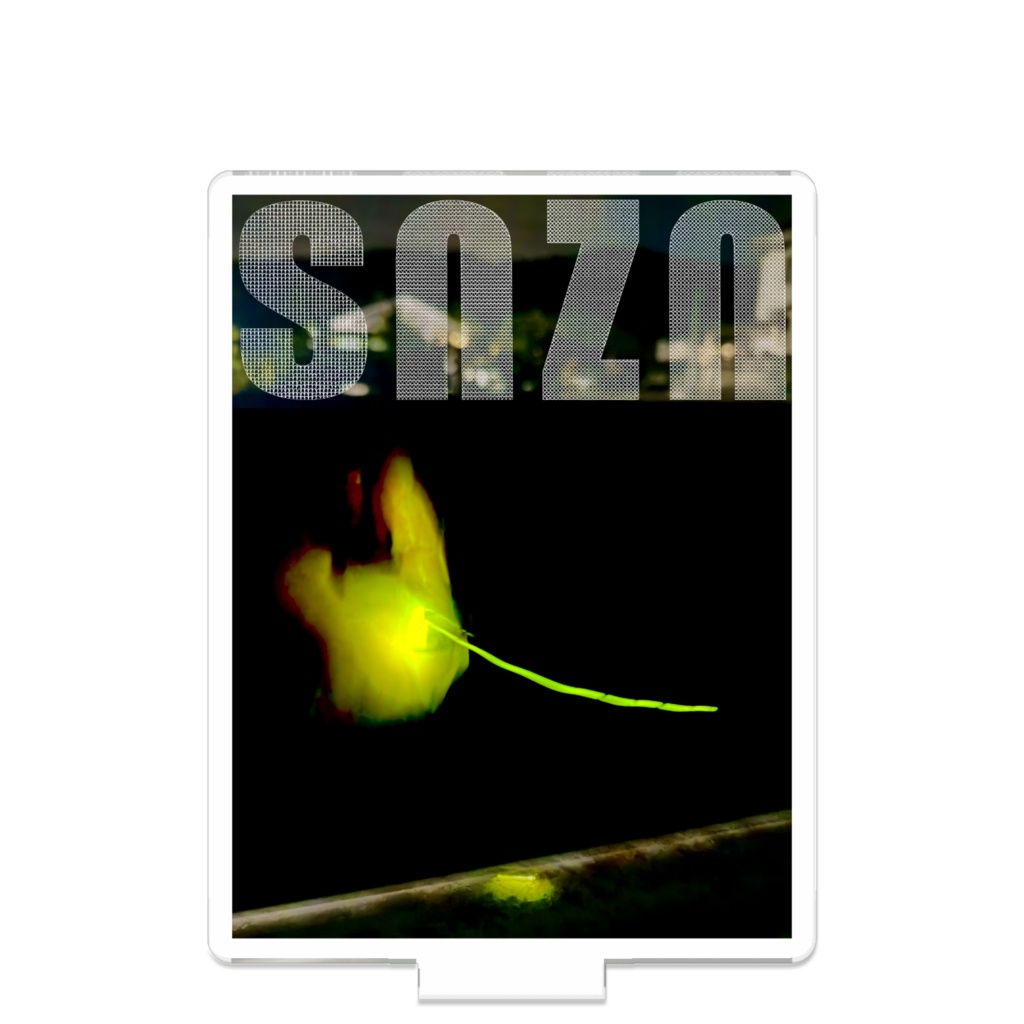 snzn-Hotaru2026