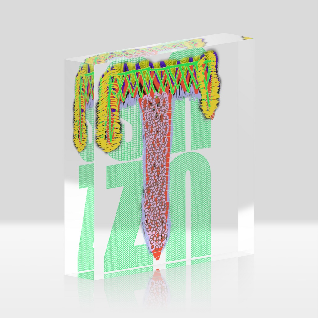 snzn_zan3_rogo2025